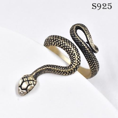 Vo[925Xl[N O wփYwr[OS925 ʐ^ N