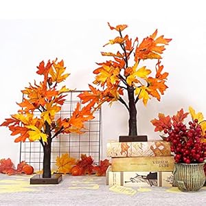 Fallmapletreewith48ledsbatteryoperatedlightupartificialpumpkinsmapleacorntreeforfallthanksgivingtableharvesthomeindoordecoration2pack Urban Country Home Decor Fall maple tree with 48 leds battery operated light up artificial pumpkins maple acorn tree for fall thanksgiving table harvest home indoor decoration 2 pack urban country home decor