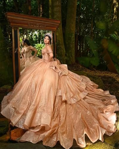 WDBFY Glitter Tulle Quinceanera Dresses with Bow Off Shoulder Layered Ball Gowns Puffy Beaded Sweet 16 Dress with Train4