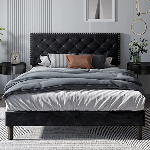 HOMBCK Upholstered Bed Frame Full with Velvet Button Tufted & Nailhead Trim Headboard, Full Bed Frame No Box Spring Needed, Wooden Slats Support, Mattress Foundation, Easy Assembly, Black