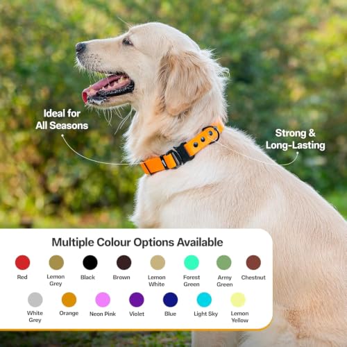Image of Adil's Biothane Waterproof Dog Collar, Dog Leash & Collar Leash Combo | Heavy Duty TPU Coated Webbing | Adjustable Quick Release Buckle | Odour Resistant (Orange, M-18, Collar & Leash Combo)