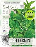 Seed Needs Peppermint Seeds for Planting - Non-GMO, Heirloom & Untreated - Medicinal/Culinary Herb to Plant a Home Grown Indoor or Outdoor Garden (1 Pack)