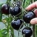 Produktbild Singeru 30 Stk Schwarz Tomatensamen Mini Aromatisch Tomate Samen Klein Cherrytomaten Balkon Pflanze