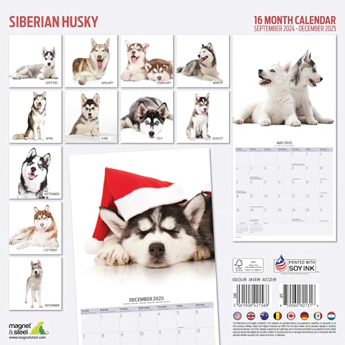 Siberian Husky 2025 Modern Calendar - Image 2