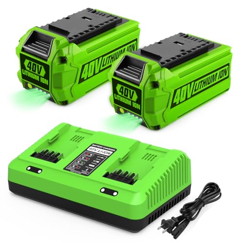 energup 2Pack 6.5Ah Replace for Greenworks 40V Battery & Charger Kit Compatible with Greenworks 40 Volt G-MAX Cordless Power Tools (with Dual-Port for Green Works 40V Charger)