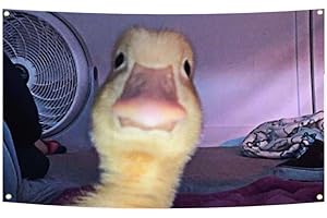 Funny Duck Song Meme Flag Tapestry: Decorate with a Touch of Quackers