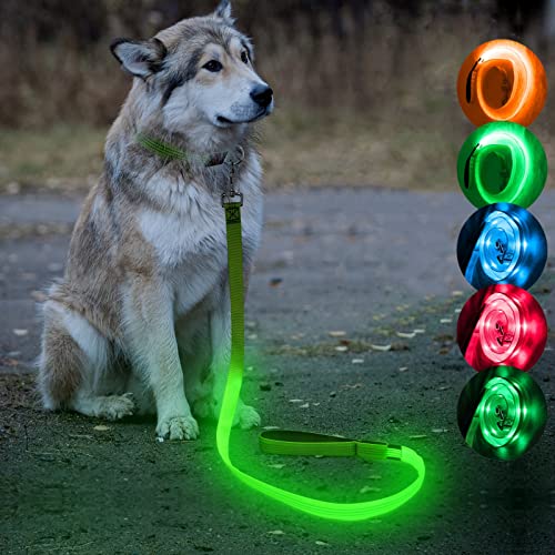 Candofly Glowing LED Dog Leash, Rechargeable Pet Leash with Lights, 4 Ft Light Up Dog Leash for Night Walking Keep Your Pets Visible (Neon Green)