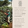 Illy Classico Whole Bean Coffee, Medium Roast, Classic Roast With Notes Of Caramel, Orange Blossom And Jasmine, 100% Arabica Coffee, No Preservatives, 8.8 Ounce Can (Pack Of 1)