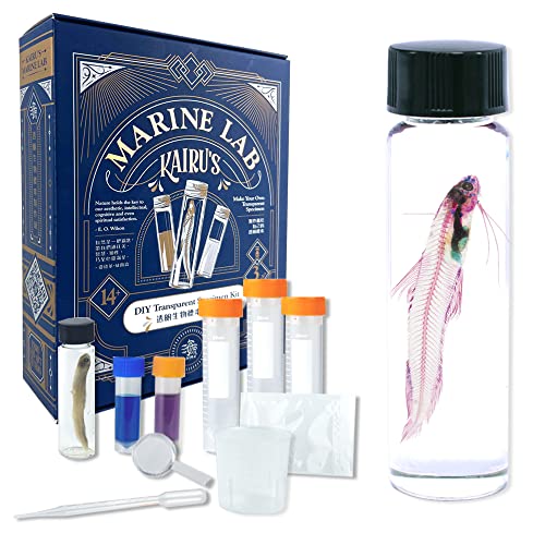 Image of DIY Transparent Specimen Kit, Fish