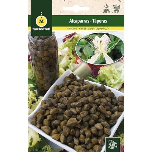 Mascarell Semillas, ALCAPARRA, Semillas Huerto, ALCAPARRAS, Crea tu Propio Huerto Urbano y Cultivo en Casa, Plantas Hortícolas, 0,5 Gramos