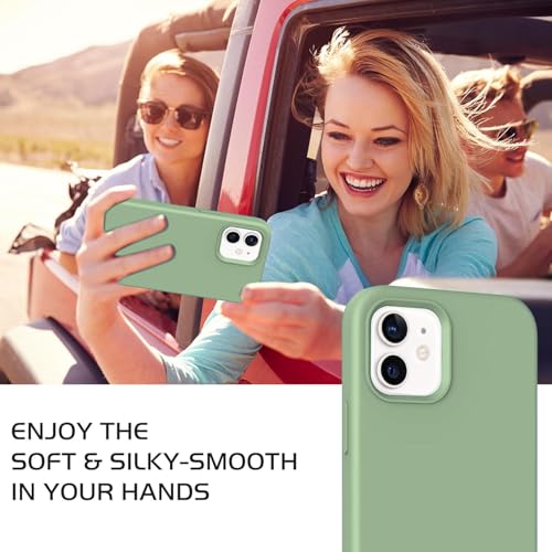 Image of DIZORO Silicone Back Case for iPhone 12 /12 Pro, Soft-Touch Phone Microfiber Silicone Back Cover for iPhone 12 /12 Pro -Matcha