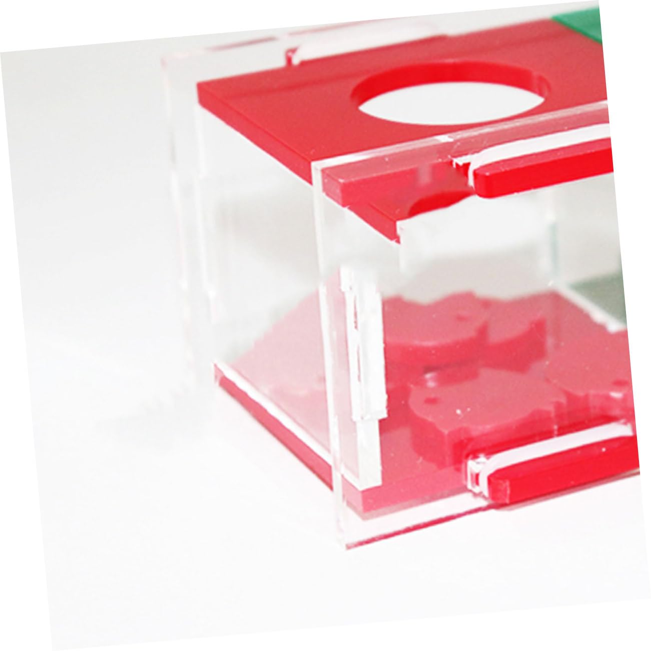 FRCOLOR Caja de 3 Juguetes para Loro, Juguete de Escritorio, de Desarrollo, para Masticar, para educar Mascotas, para cacatúas, s para Masticar
