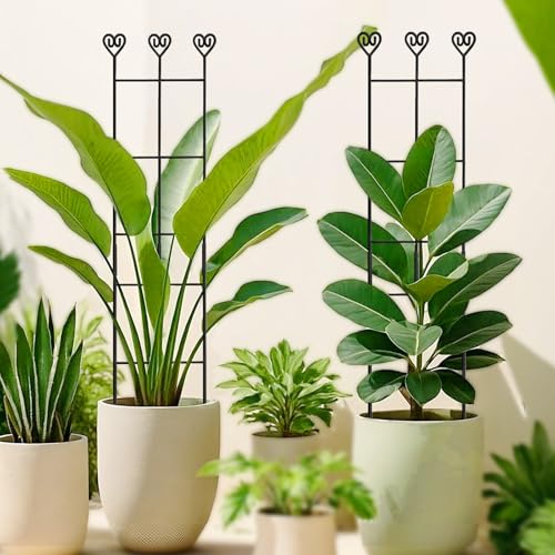 Image of 32in Large Indoor Plant Trellis for Climbing Plants, Expandable Metal Garden Trellis for Potted Plants, Tall Plant Supports for Ivy Pothos Hoya Monstera, 4p