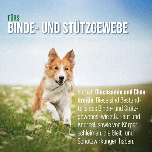 tierlieb Gelenkfreund Hunde-Kapseln mit Calcium, Magnesium, Glucosamin & Chondroitin 130 Kapseln