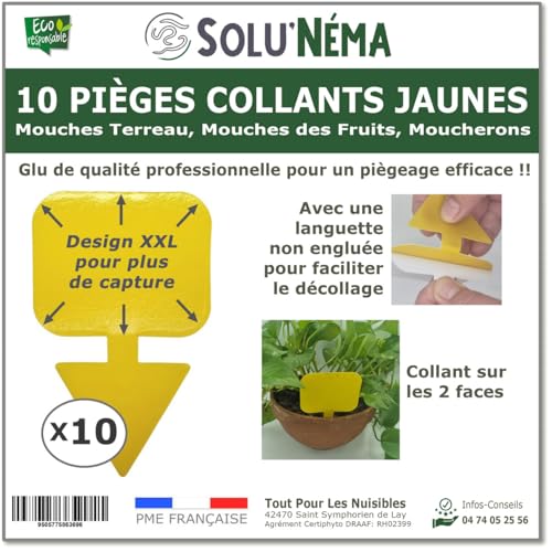 10 Pièges Collants Jaunes pour Mouches du Terreau, Mouches des Fruits, Moucherons, Design XXL - SoluNéma
