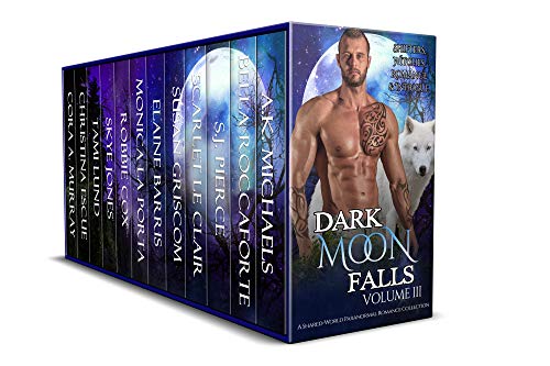 Cover zum Buch Dark Moon Falls