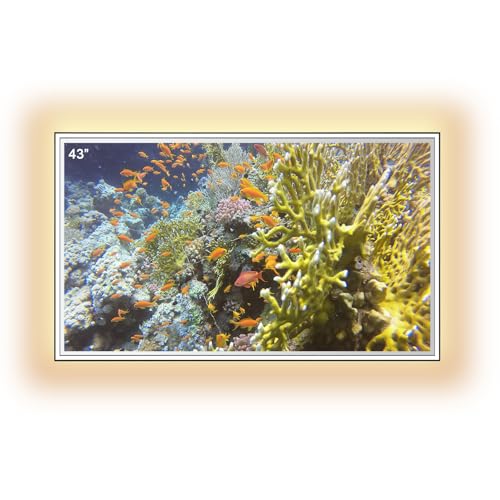 elecsung 43-inch 4K Smart Vanity Mirror TV