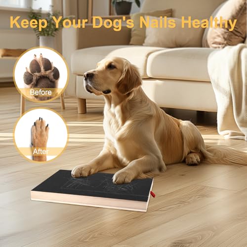 Kratzbrett für Hunde mit Leckerlibox und Krallenschleifer - 1 Ersatzblatt Schleifpapier für Nagelpflege bei Hunden