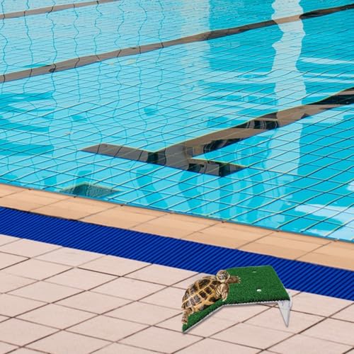 Rampe d'évacuation pour animaux de piscine pour chat grenouille et petit
