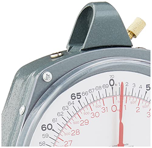 Taylor Dial Style 70-Pound Industrial Hanging Scale #TOP6