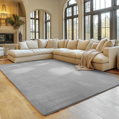 SIMPEX Tapis Argent 160x220 cm Tapis à Poils Courts Lavable, Doucement Antidérapant et Design Monochrome Moderne pour Salon, Chambre, Cuisine et Chambre...