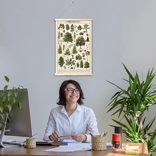 Tevxj Vintage Tree Poster Plant Wall Art Prints Rustic Style Of Arboretum Wall Hanging Illustrative Reference Chart Poster For Living Room Office Classroom Bedroom Playroom Dining Room Decor Frame #TOP6