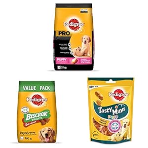 Pedigree PRO Expert Nutrition Dry Food for Large Breed Puppy, 3kg & Biscrok Biscuits Treats for Dog (Above 4 Months), Lamb Flavour, 900g & Tasty Minis Treats for Puppy, Chicken Flavour, 125g