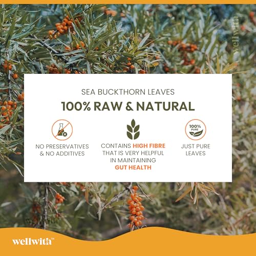 Image of Wellwith (Ayuzera) Sea Buckthorn Raw Leaves Tea | Himalayan Herbal Leaf Tea | Good for Skin, Immunity & Detox | Pure & Natural | 50g (Pack of 3)