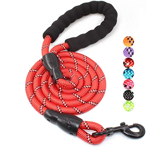 BAAPET 5 FT Strong Dog Leash with Comfortable Padded Handle and Highly Reflective