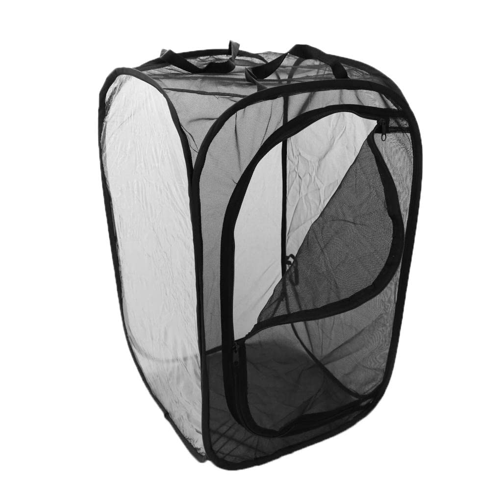Meri SHOPP Foldable Insect and Butterfly Habitat House Terrarium Breeding Cage Black M (B09Y8XCKFB) Amazon Price History, Amazon Price Tracker