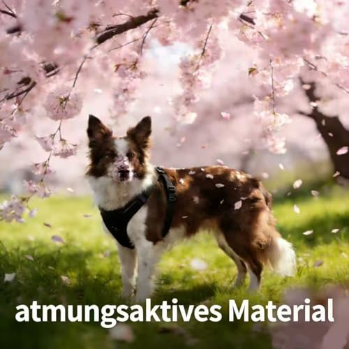 Fellstern Anti-Zieh-Geschirr,Anti-Zieh Hundegeschirr mit Step-in Design – Atmungsaktiv & Gepolstert-Für entspanntes Spazierengehen – Für Hunde jeder Größe(Größe L)