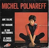  Âme câline / le roi des fourmis - Polnareff