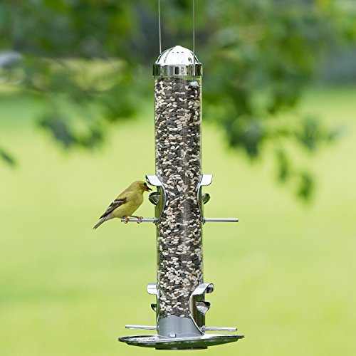 Perky-Pet Mangiatoia 2-in-1 per Uccelli Selvatici