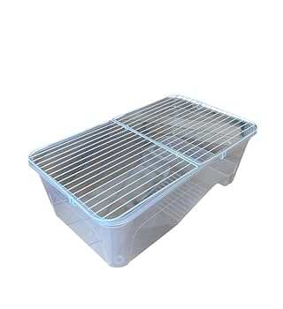 陶器製 染付 唐草 亀 タートル 親子 蓋物 小物入れ 大型サイズ Amazon | 亀飼育ケース (中) タートルタブ 排水口付き タートル