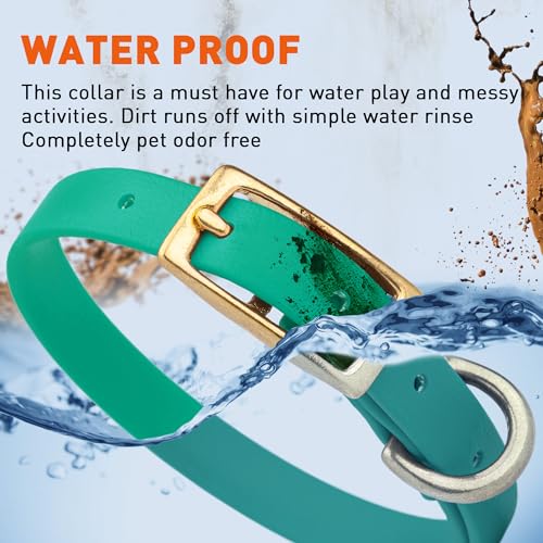 Image of Viper Biothane Heavy Duty Waterproof Dog Collar Strong Coated Nylon Webbing w /Solid Brass Hardware Odor-Proof Easy to Clean High Performance Fits Small Medium or Large Dogs, Teal