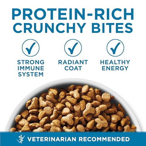 Purina ONE High Protein, Natural Senior Dry Cat Food, Indoor Advantage Senior+ - 3.5 lb. Bag