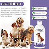 Fellon Entfilzungsshampoo für Hunde – Sanfte, pH-neutrale Pflege für leichtes Entfilzen – Biologisch – Für alle Rassen, Langhaar & Kurzhaar – Verhindert Verfilzungen & Juckreiz – 500 ml