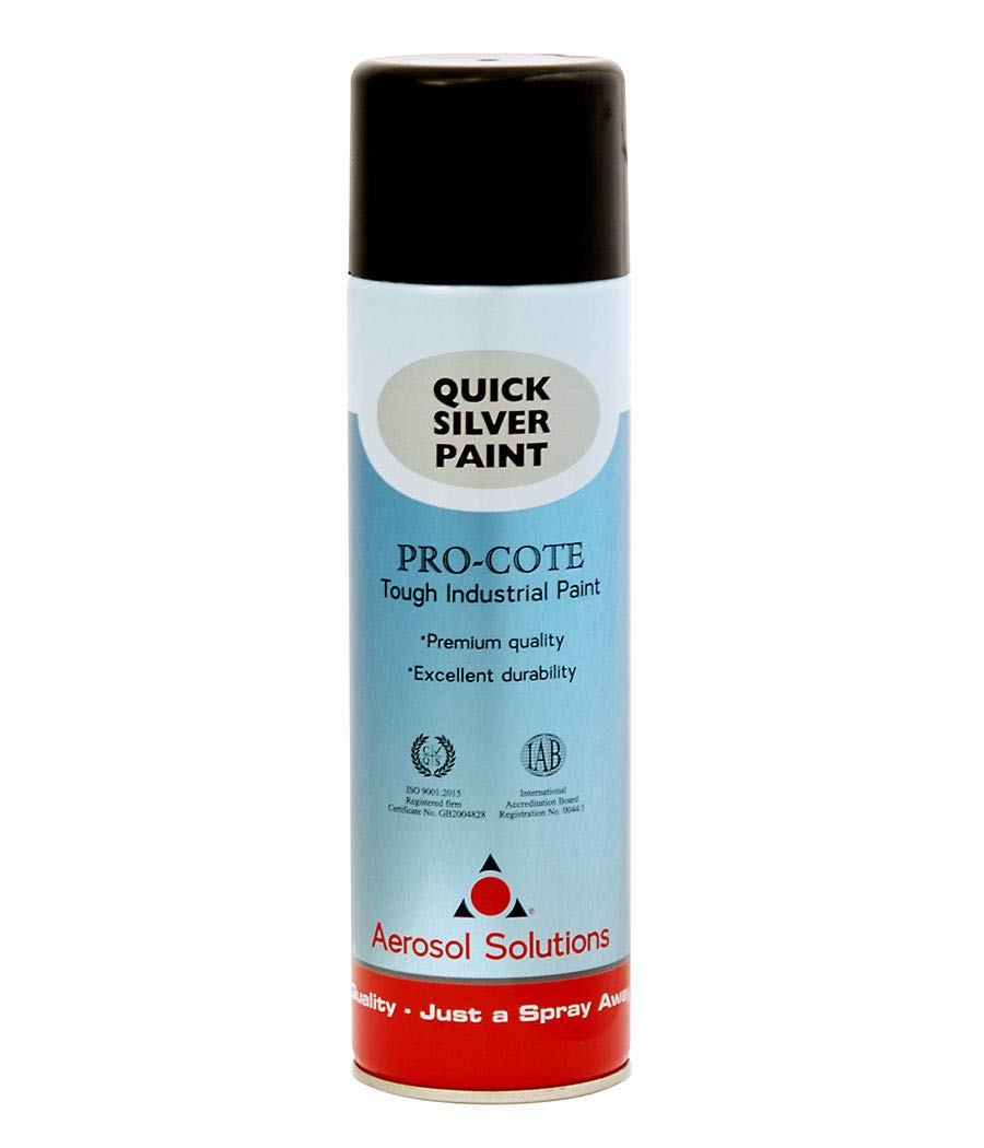 Aerosol Solutions Pro-Cote Quick Silver Spray Paint 500ml
