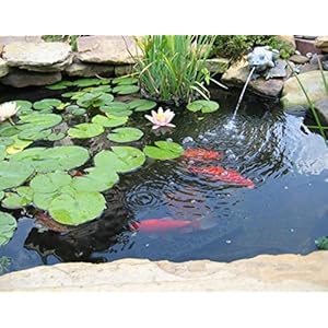 Smallpondliner4x7feet20milpondlinersforoutdoorpondsblackldpepondlinerforwaterfallfishpondsgardenfountain Urban Country Home Decor Small pond liner 4 x 7 feet 20 mil pond liners for outdoor ponds black ldpe pond liner for waterfall fish ponds garden fountain urban country home decor