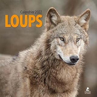 Calendrier 2023 Loup Amazon.fr : Calendrier Loup