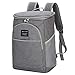 Kühlrucksack Isolierte Picknickrucksäcke Cooler Kühltasche: Damen Herren Thermo Rucksack Groß Kapazität Wasserdichten Cooler Bag Outdoor Compact Storage Tasche Lunch Kit Rucksäcke für Camping ( Grau )