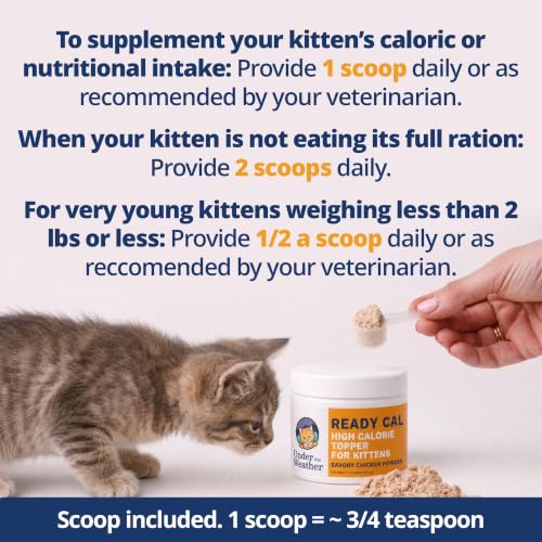 Image of Under The Weather Ready Cal High Calorie Powder for Kittens | Kitten Supplement & Weight Gainer | Appetite Support with Vitamins & Minerals | Veterinarian Formulated | Chicken Flavor