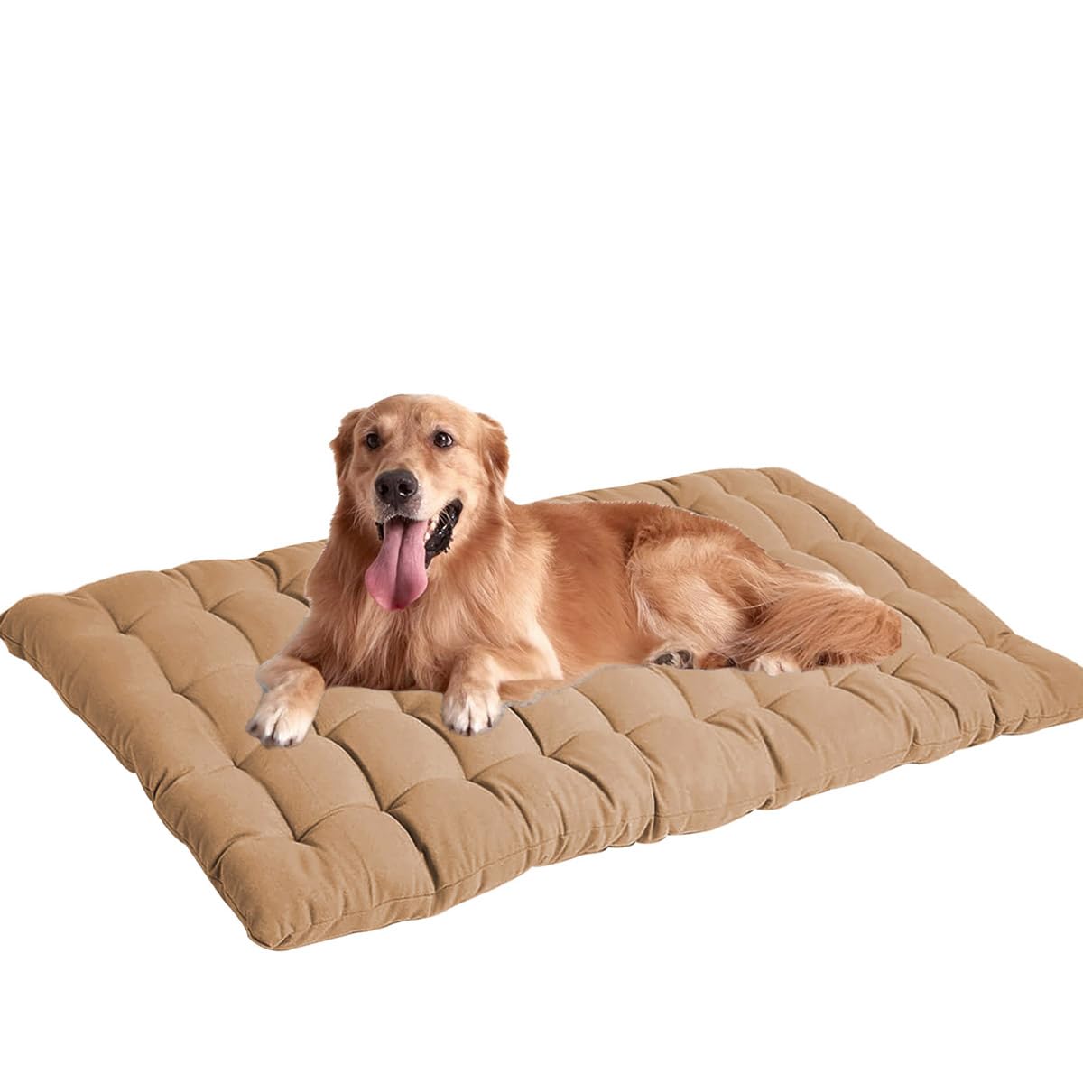 Lit de cage pour chien XXL beige tapis lavable 110x50 cm