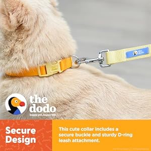 The Dodo All Nylon Yellow Collar and Leash Set – Medium; Matching Cute Leash and Collar Set; Waterproof Dog Leash and Collar Set, Perfect for Beach Day or Trips to The Lake