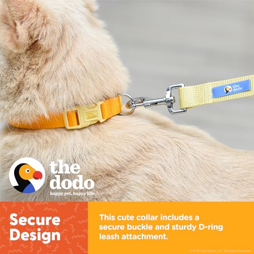 The Dodo All Nylon Yellow Collar and Leash Set – Medium; Matching Cute Leash and Collar Set; Waterproof Dog Leash and Collar Set, Perfect for Beach Day or Trips to The Lake The Dodo All Nylon Yellow Collar and Leash Set – Medium; Matching Cute Leash and Collar Set; Waterproof Dog Leash and Collar Set, Perfect for Beach Day or Trips to The Lake