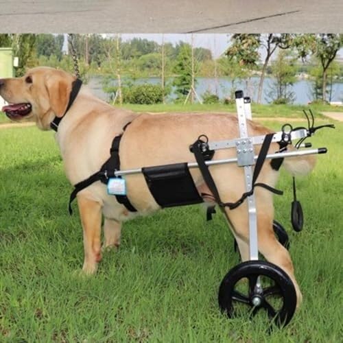 Silla de ruedas para perros para patas traseras, carrito de soporte de aluminio ligero para perros grandes con displasia de cadera o parálisis, ayuda de movilidad ajustable para rehabilitación canina