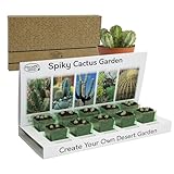 Pronto Seed Grow Your Own Cactus Kit
