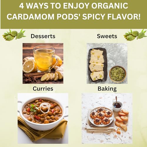 SPICY ORGANIC Green Cardamom Pods – 2 oz - Whole Cardamon Seeds for Authentic Spice Flavor, Natural Cardamon Pod for Tea, Cooking, and Baking- USDA Certified Organic, Gluten-Free, Non-GMO and Kosher