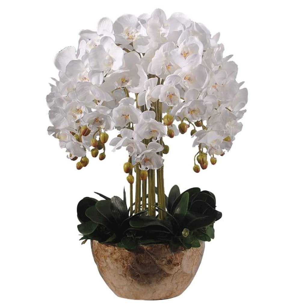 XDLEDMKIZ Orchid Artificial Flowers Potted Faux Orchids Realistic Touch Artificial Phalaenopsis Flowers Plant Flower Arrangement Home Decor Artificial Flowers natural loo