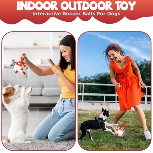 Image of QDAN Small Puppy Dog Soccer Ball with Straps, Durable Herding Toys, 5 Inch | Puppy Birthday Gifts For Dogs, Interactive Water Pool Toys, Pet Training Puppy Toys for 5-20lbs Dog Mentally Stimulating